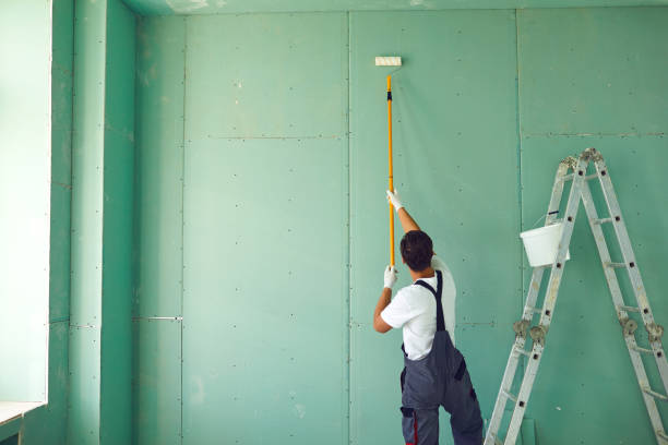 Mold Documentation for Insurance Claims in Bellevue, MI