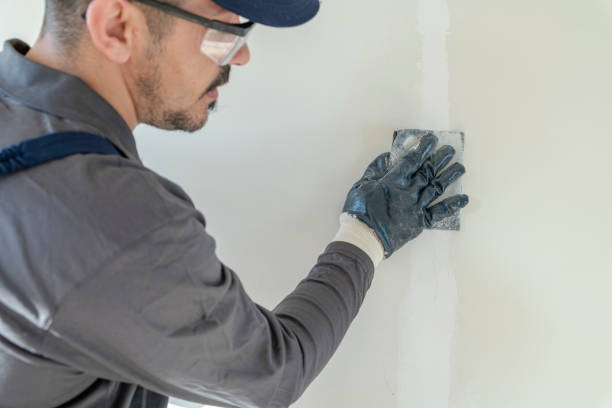 Best Crawl Space Mold Remediation  in Bellevue, MI