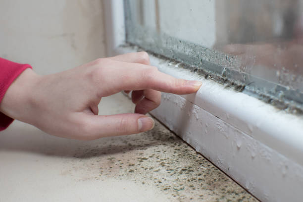 Best Post-Remediation Verification Testing  in Bellevue, MI