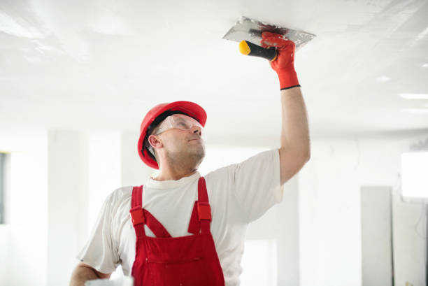 Best Post-Remediation Verification Testing  in Bellevue, MI