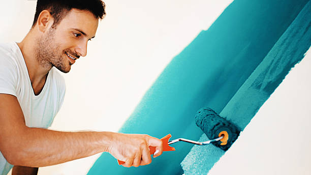 Best Black Mold Removal  in Bellevue, MI